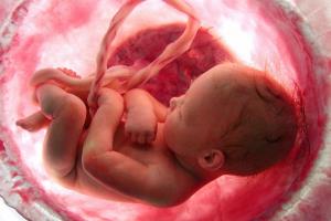   شرایط پذیرش درخواست و صدور مجوز سقط جنین